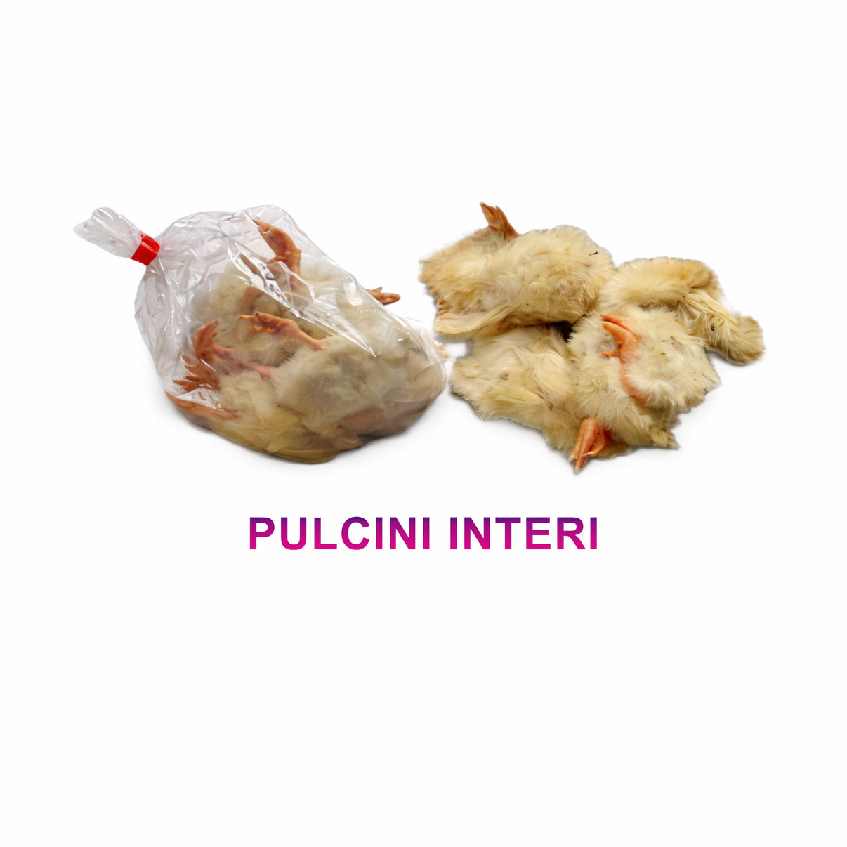PULCINI INTERI - confezione di pulcini interi con parte visibile in un sacchetto e su un piano bianco.