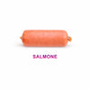 Immagine di un alimento completo SALMONE, rappresentato in un formato sodo e colorato per animali.