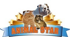 Animalstar